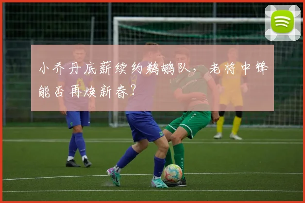 小乔丹底薪续约鹈鹕队,老将中锋能否再焕新春?